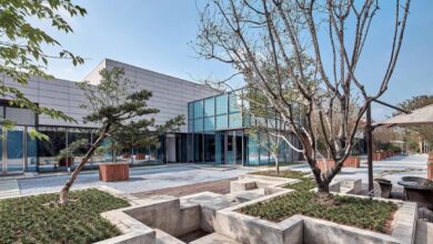 تجزیه و تحلیل مجموعه ورزشی چین